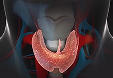 Management of Thyroid Disorders (Non-Surgical)